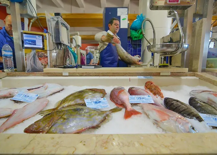 Marina-m Appartement