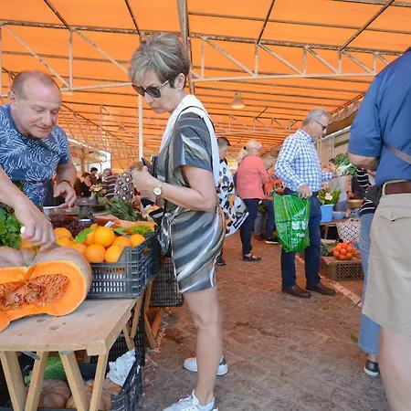 Marina-m アパート *