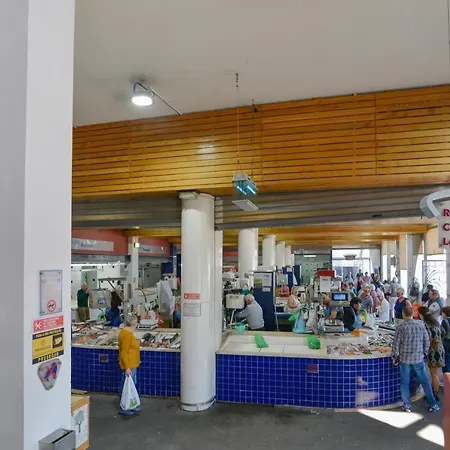 アパート Marina-m